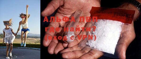 молекула духа Арсеньев