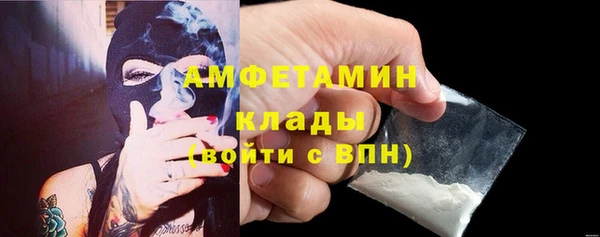 молекула духа Арсеньев