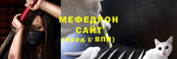 молекула духа Арсеньев