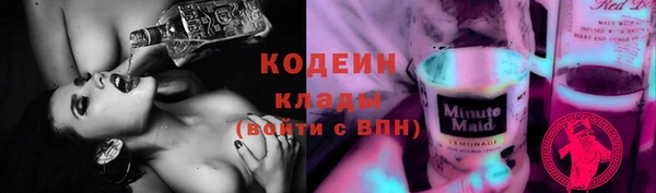 молекула духа Арсеньев