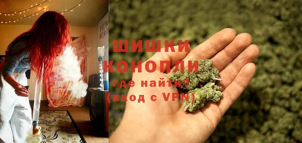 молекула духа Арсеньев