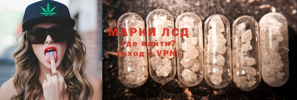 молекула духа Арсеньев