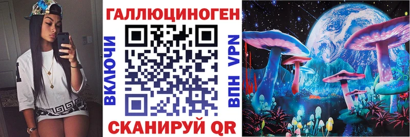 Псилоцибиновые грибы GOLDEN TEACHER  Новоалтайск 